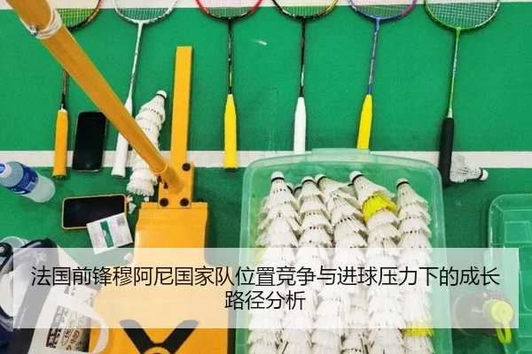 法国前锋穆阿尼国家队位置竞争与进球压力下的成长路径分析